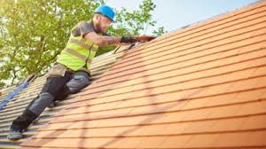 Best Roof Moss and Algae Removal  in Honeoye Falls, NY