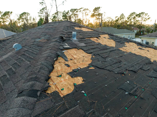 Best Gutter Installation and Repair  in Honeoye Falls, NY